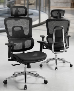 Aeroflex Pro Series Office Chair